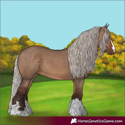 Horse Color:Silver Brown Dun 
