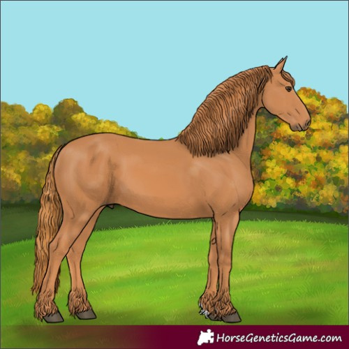 Horse Color:Chestnut 