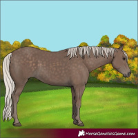 Horse Color:Silver Black 
