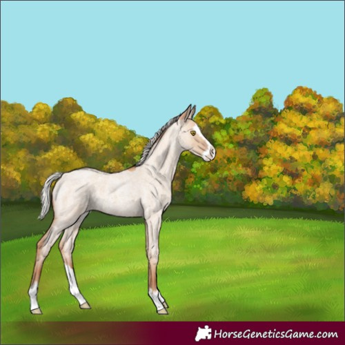 Horse Color:Silver Classic Champagne Roan Dun Splash 