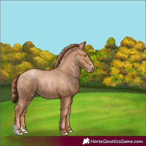 Horse Color:Chestnut Pearl 