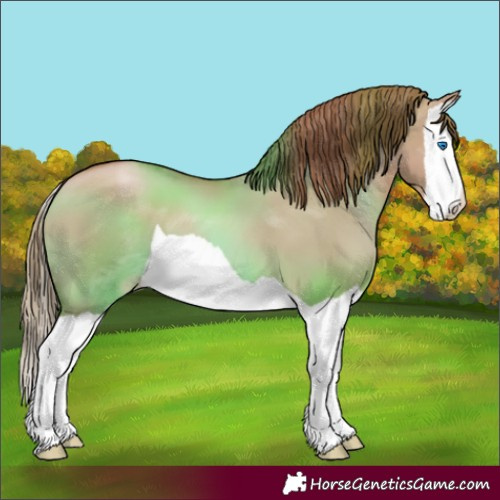 Horse Color:Grullo Pearl Splash 