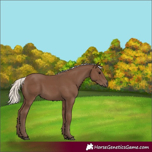 Horse Color:Silver Black 