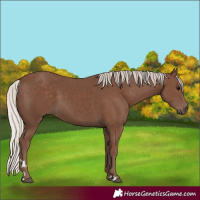 Horse Color:Silver Black 