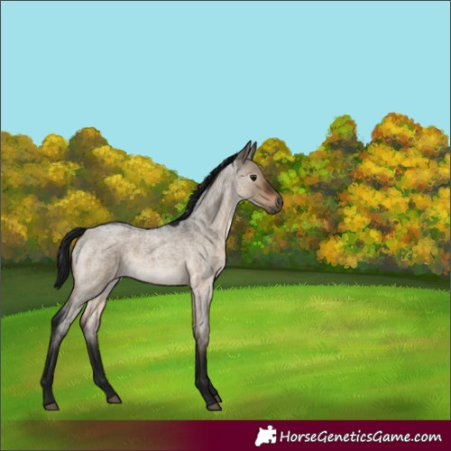 Horse Color:Gray Brown Roan Dun Mushroom 