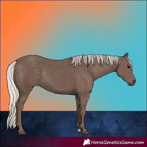 Horse Color:Silver Black 