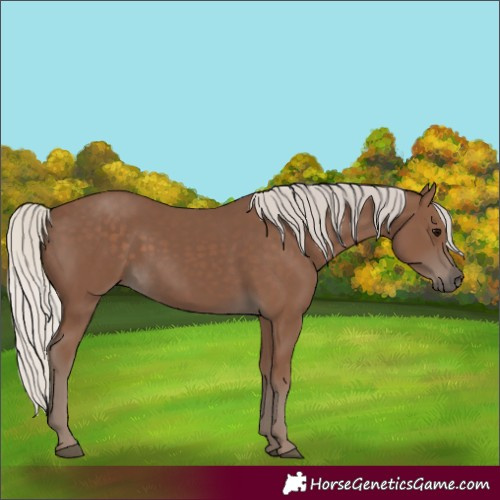 Horse Color:Silver Black 