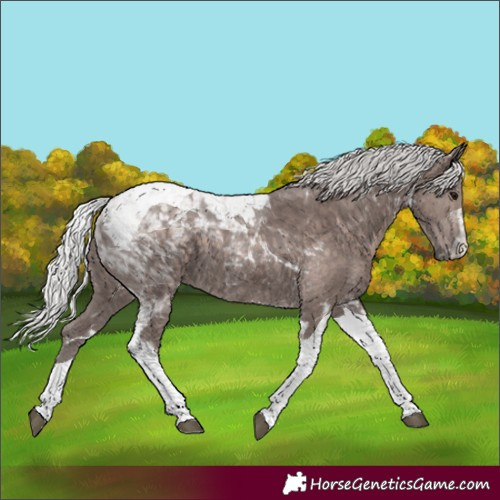 Horse Color:Platinum Silver Black Tobiano 