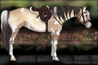 Horse Color:White Spotted Amber Champagne Onyx 
