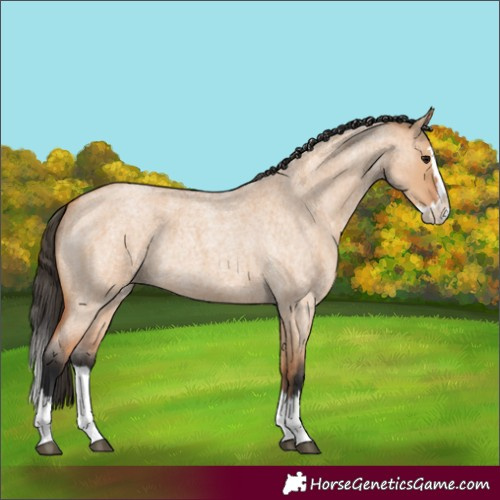Horse Color:Bay Roan Dun Splash 
