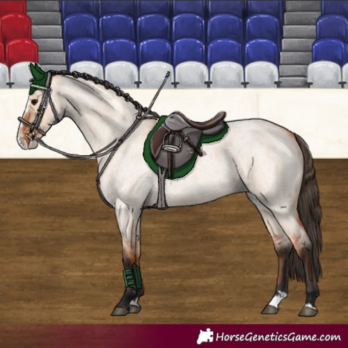 Horse Color:Bay Roan Dun Splash 