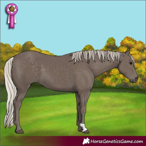 Horse Color:Silver Black 
