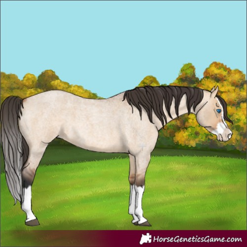 Horse Color:Bay Roan Dun Splash 