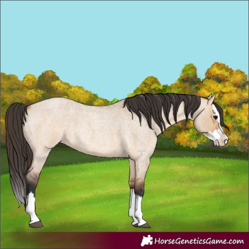 Horse Color:Bay Roan Dun Splash 