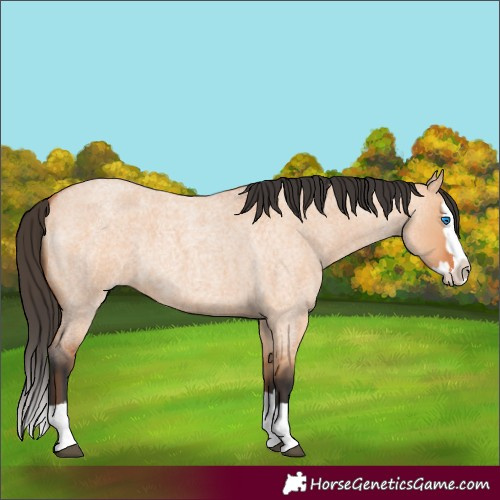 Horse Color:Bay Roan Dun Splash 