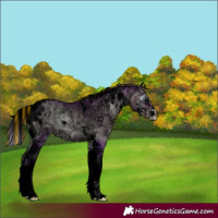 Horse Color:Gray Void Painted Watercolor Silver Buckskin Ice Pearl Onyx Tobiano 