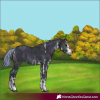 Horse Color:Watercolor White Spotted Midnight Bay Ice Onyx 