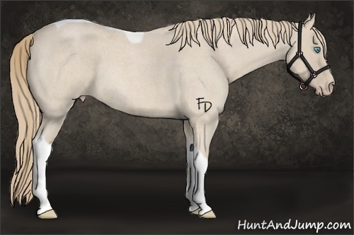 Horse Color:Smoky Creme Roan Tobiano 