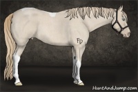 Horse Color:Smoky Creme Roan Tobiano 