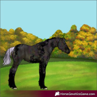Horse Color:Void Watercolor White Spotted Midnight Silver Bay Ice Tobiano 