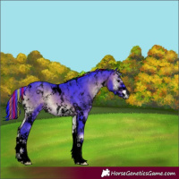 Horse Color:Void Painted Watercolor White Spotted Brown Onyx