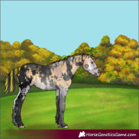 Horse Color:Void Painted Watercolor White Spotted Sable Cream Champagne Onyx Tobiano 