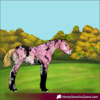 Horse Color:Void Painted Watercolor White Spotted Brown Onyx Tobiano 