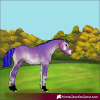 Horse Color:Void Painted Watercolor Brown Onyx Tobiano 