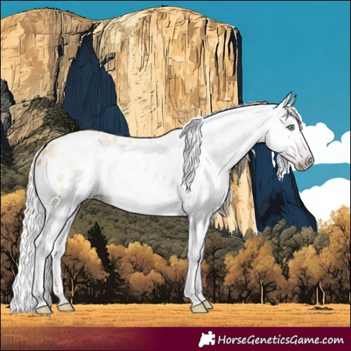 Horse Color:Gray Silver Amber Cream Champagne Roan Dun Splash Tobiano Frame Appaloosa Rabicano 