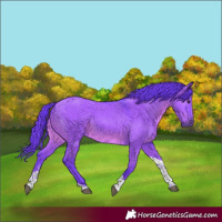 Horse Color:Watercolor Grullo Sabino Tobiano Rabicano