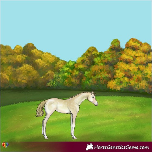 Horse Color:Watercolor Chocolate Perlino Onyx 