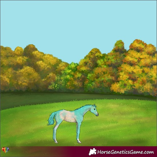 Horse Color:Watercolor Chocolate Brown 