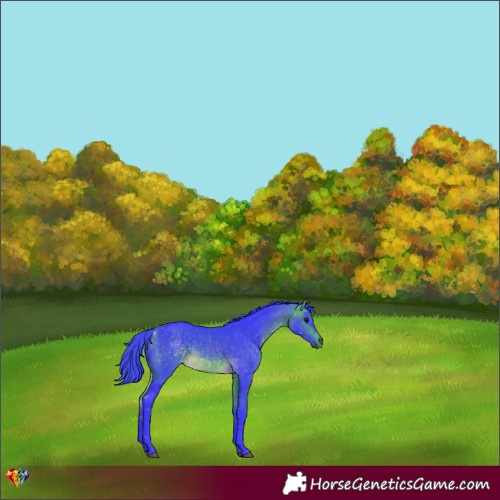 Horse Color:Watercolor Buckskin 