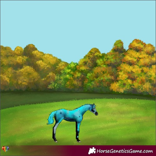 Horse Color:ERROR: UNKNOWN ANOMALY
