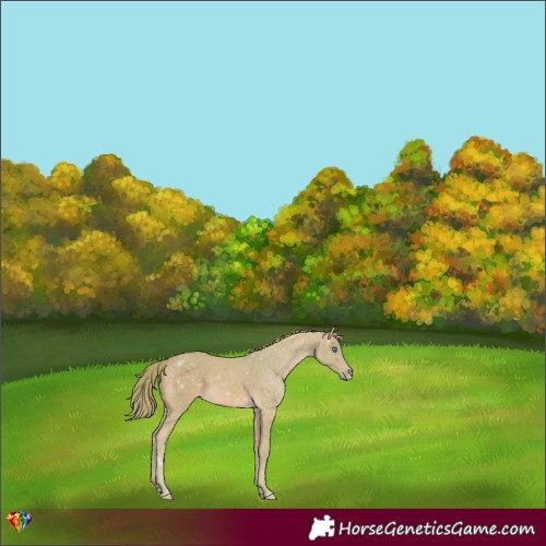 Horse Color:Watercolor Chocolate Perlino 