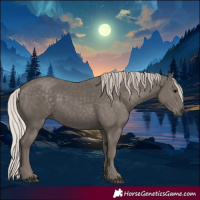Horse Color:Silver Black