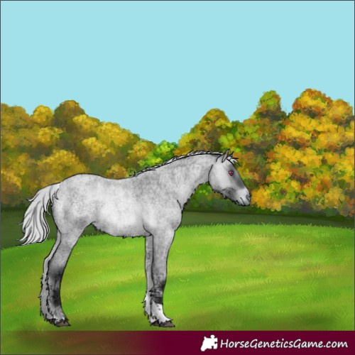 Horse Color:Silver Brown Chinchilla Ice Roan Onyx Tobiano 
