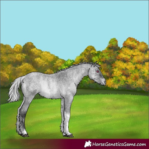 Horse Color:Silver Brown Chinchilla Ice Roan Onyx Tobiano 