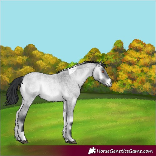 Horse Color:Brown Chinchilla Roan Onyx Tobiano 