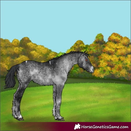 Horse Color:Brown Chinchilla Ice Onyx Tobiano 