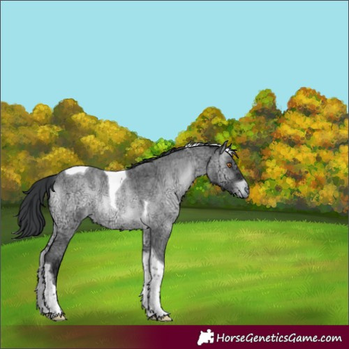 Horse Color:Brown Chinchilla Ice Roan Onyx Tobiano 