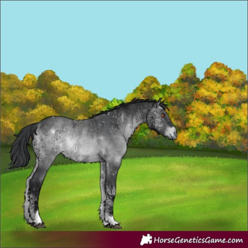 Horse Color:Brown Chinchilla Ice Onyx Tobiano 