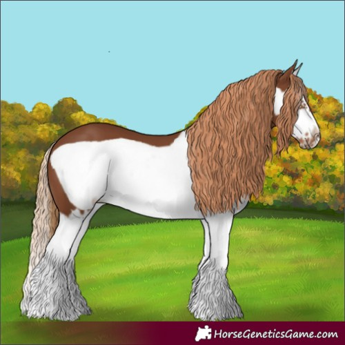 Horse Color:Chestnut Splash Frame 