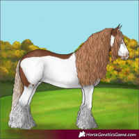 Horse Color:Chestnut Splash Frame
