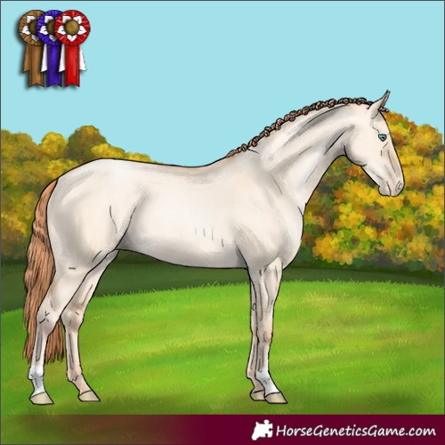 Horse Color:Classic Champagne Pearl Dun Rabicano 