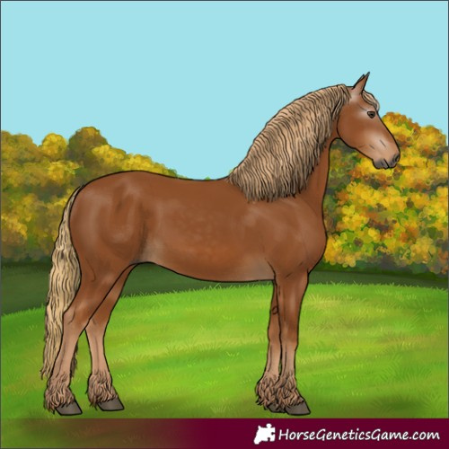 Horse Color:Gray Chestnut 