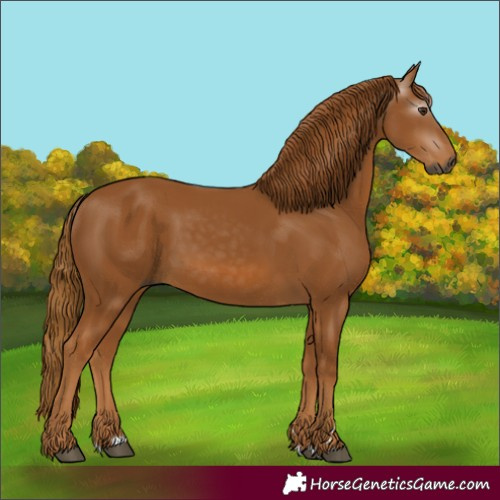 Horse Color:Gray Chestnut 
