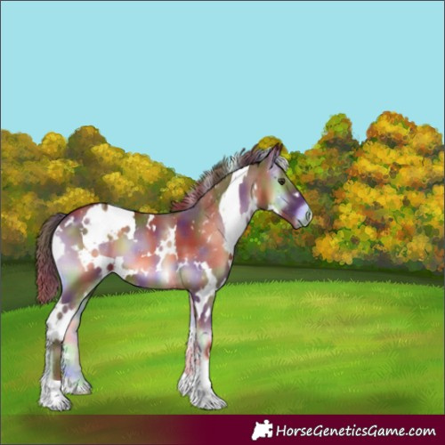 Horse Color:Nacre White Spotted Red Onyx 