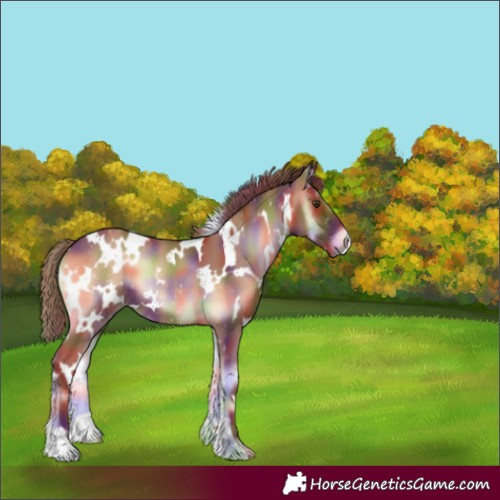 Horse Color:Nacre White Spotted Red Onyx 