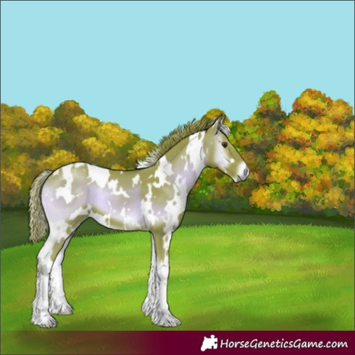 Horse Color:Watercolor White Spotted Red Onyx 